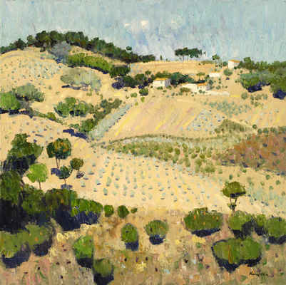 Olive Groves, Auribeau-sur-Siagne