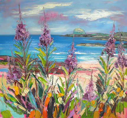 Rosebay Willowherb, North Berwick