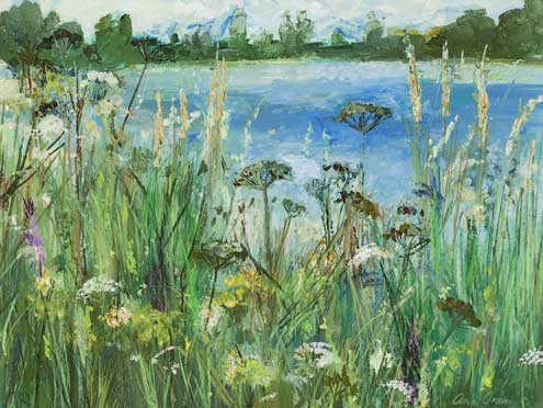 Lochore and Wild Flowers