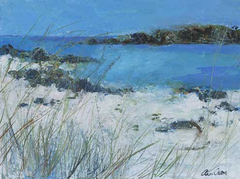Iona Beach and Grasses