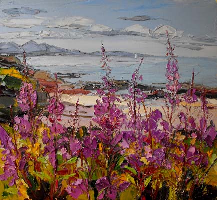 Rosebay Willowherb, Morar