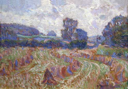 Cornfield in Summer