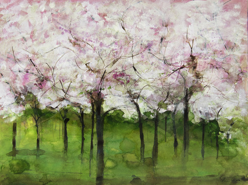 Blossom Trees