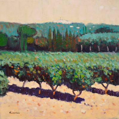 Evening Vineyards, Le Castellet