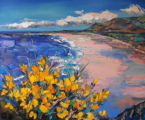 Gorse at Rhossili Bay