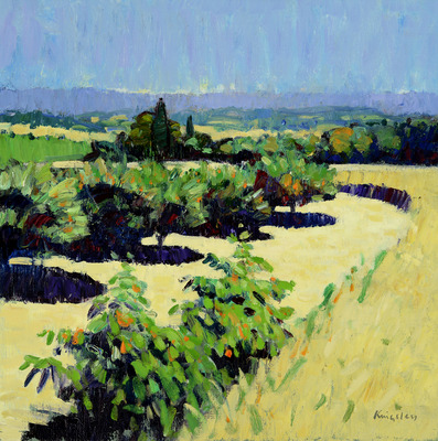 Landscape near Bonnieux