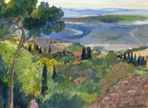 Pienza Landscape