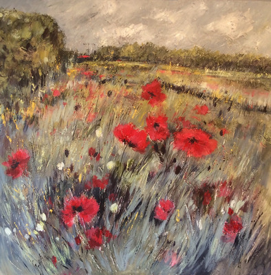 Rutland Poppy Fields