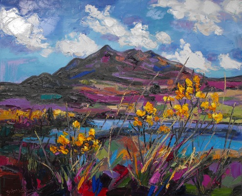 The Cuillins with Yellow Grasses, Skye