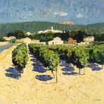 Vineyard, Sablet