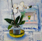 White Orchid with David Donaldson Card
