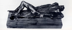 Sea Figure. 1974