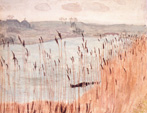 Rushes, near Aldeburgh