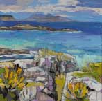 Rocks and Gorse, White Sands