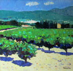 Vineyards at Sablet