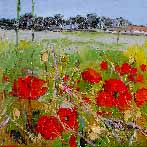 Poppies and Farm near North Berwick, June