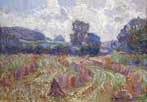 Cornfield in Summer