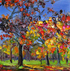 Autumn Trees in Dappled Sunlight