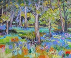 Bluebell Woods