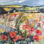 Lincolnshire Poppy Fields