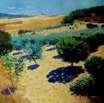 Olive Trees, Val d'Orcia