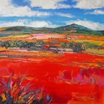 Red Fields and Farm, Aberdeenshire