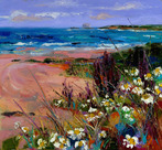 White Flowers amongst Sea Grasses, North Berwick