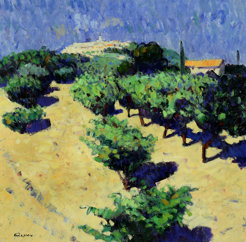 Vineyards, La Cadiere d'Azur